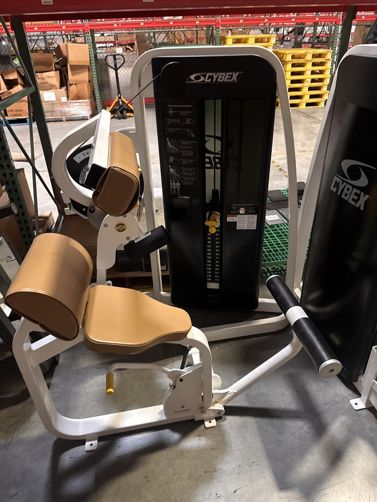 CYBEX BACK EXTENSION MACHINE