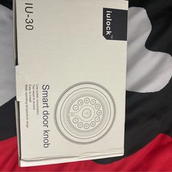 Iulock iu-30 Smart Door Knob