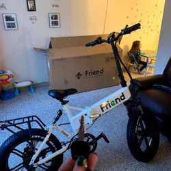Friend E-bike