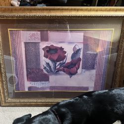 Free Giant Framed Photo 