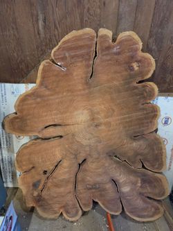 Large Live Edge Wood Slab Tree Cookie
