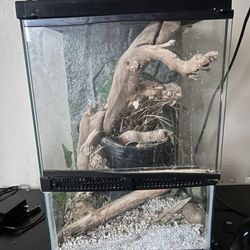 Reptile Enclosure Plus Day & Night Lamp