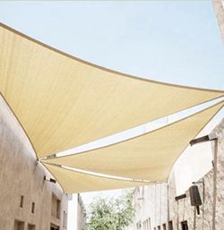 Canopy