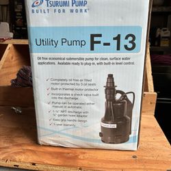 Utility Pump