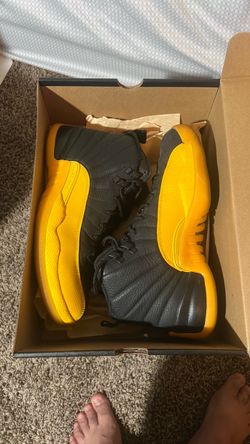 Air Jordan 12 retro