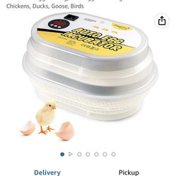 Magicfly Egg Incubator