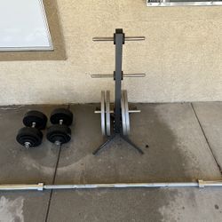 Barbell And 45lb Plates 