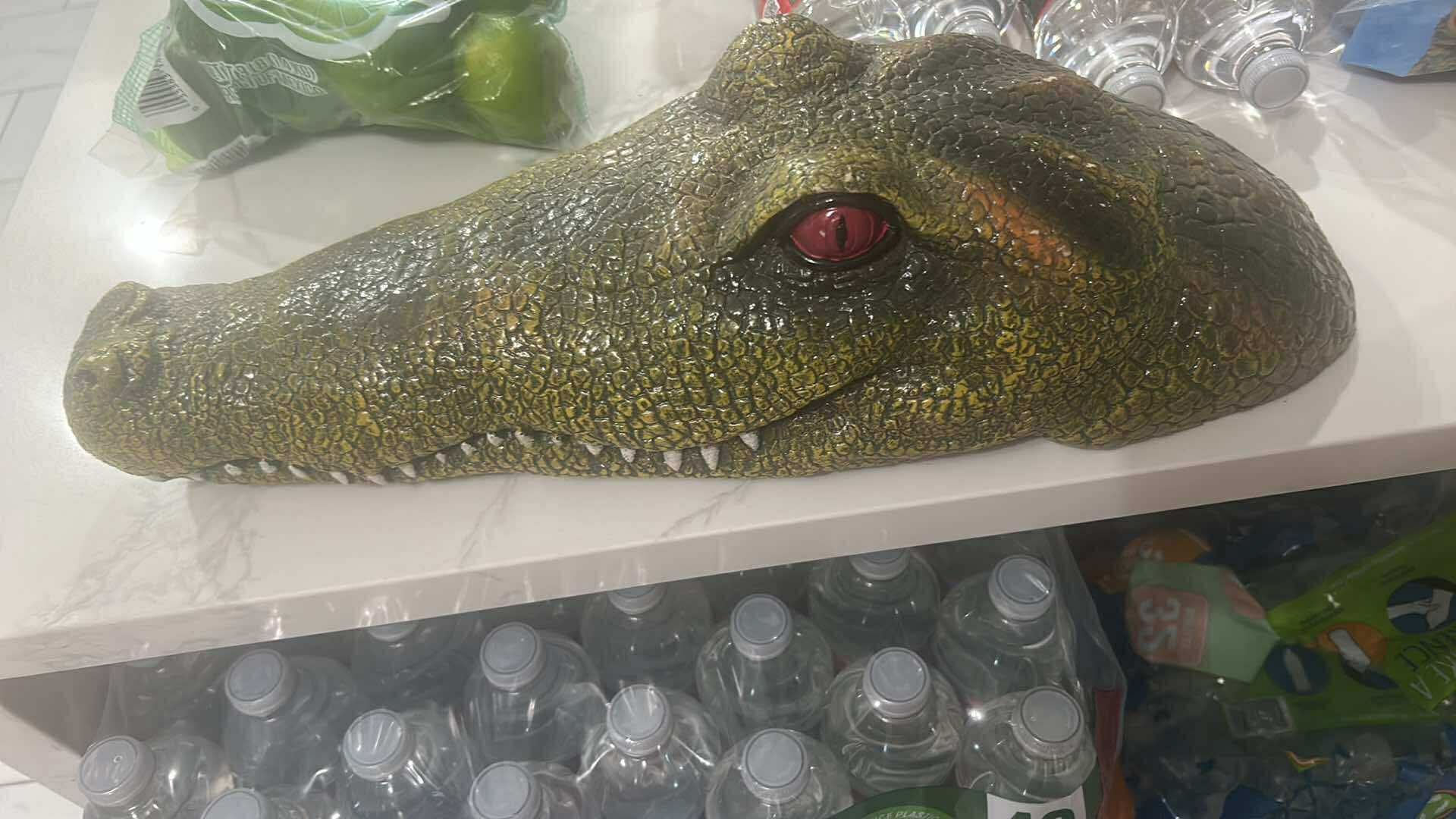 Alligator Fish tank Oxygen Bubbler