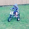 Brantly
