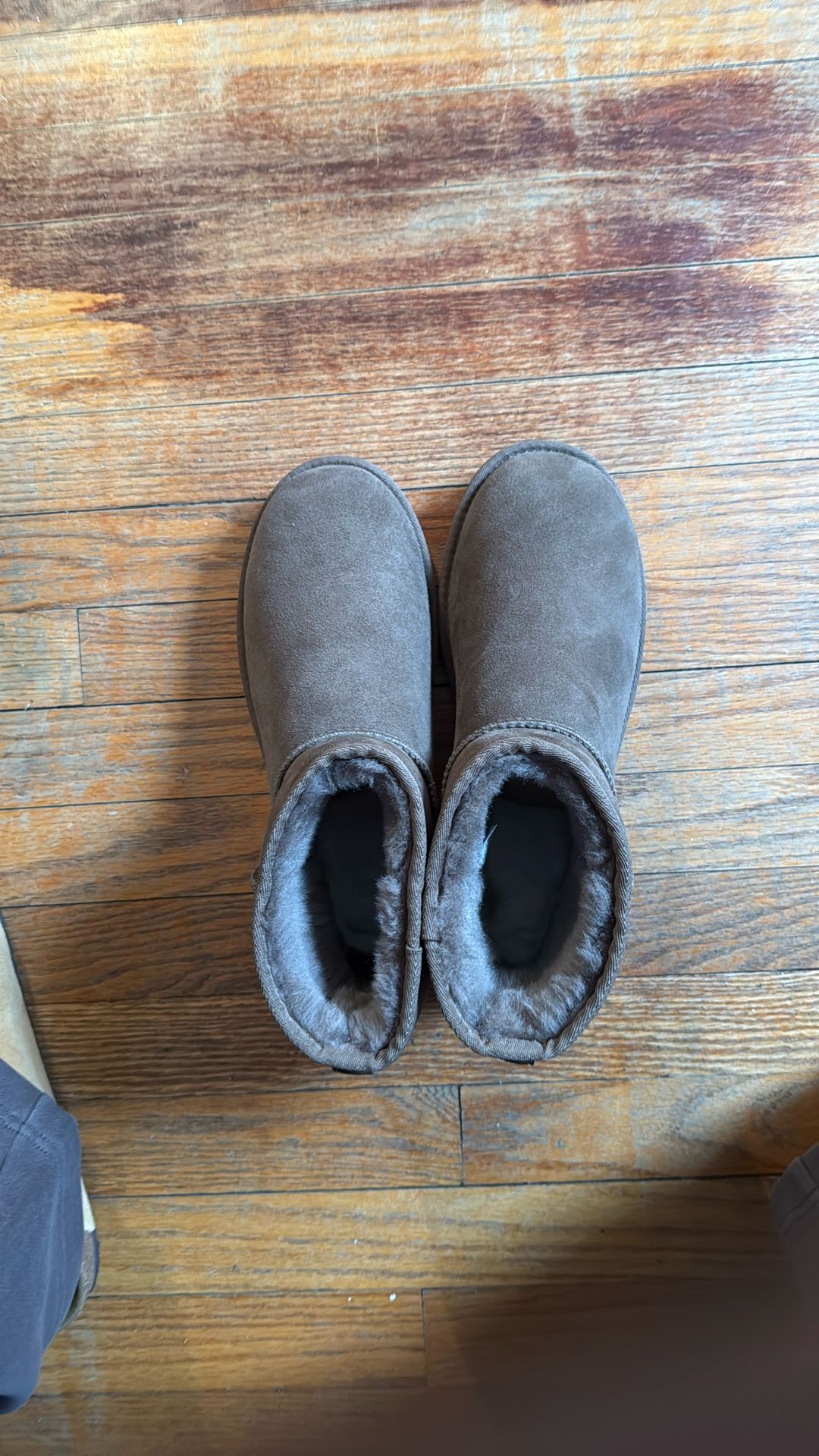 Men's UGG MINI BOOT