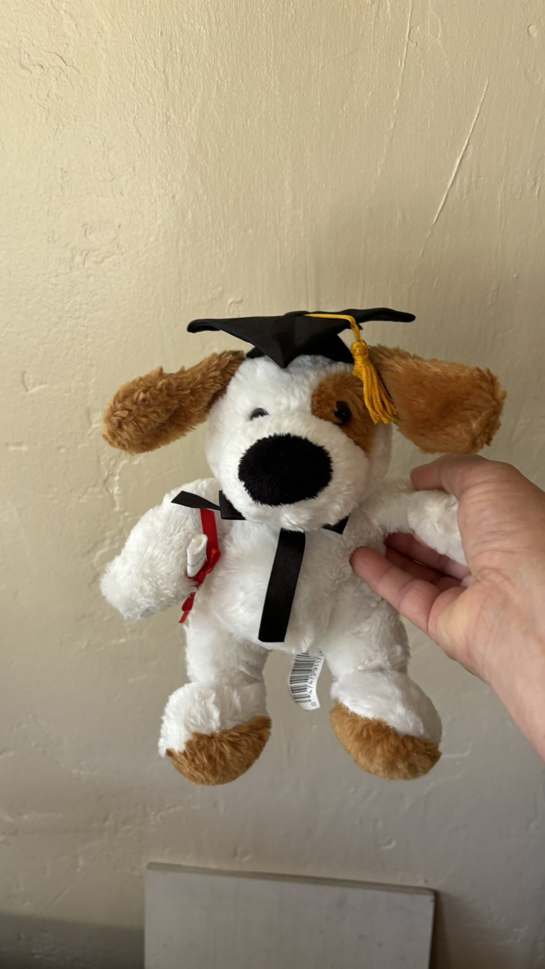 Dan Dee Graduation Plush Dog with black cap