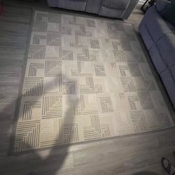 Rugs indoor/outdoor 2x