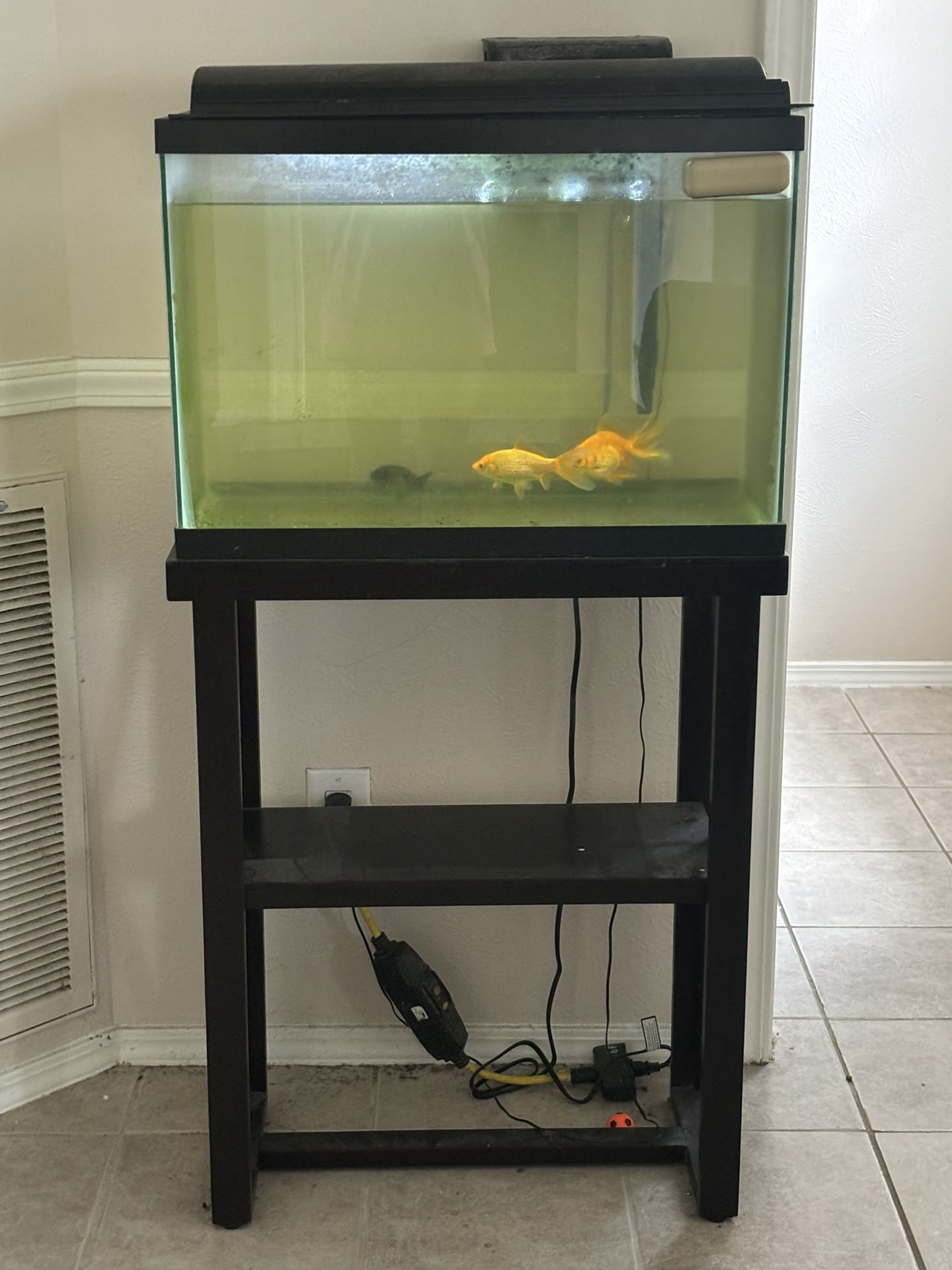 Fish Tank, Cover And Filter