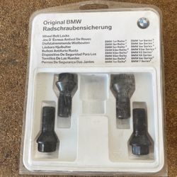 Bmw Lugnuts