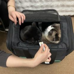 Cat And Dog Travel Bag