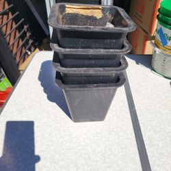 black, square-shaped plastic plant pots or nursery container