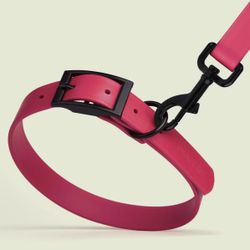 Dog collars and leashes
