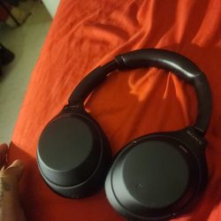 Sony M4 Headphones
