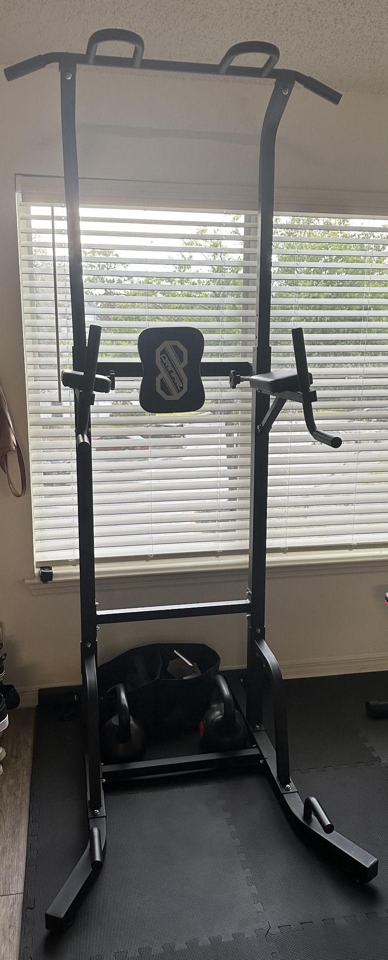 Pull Up, Abs And Dip Station