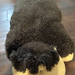 Pet Pillow
