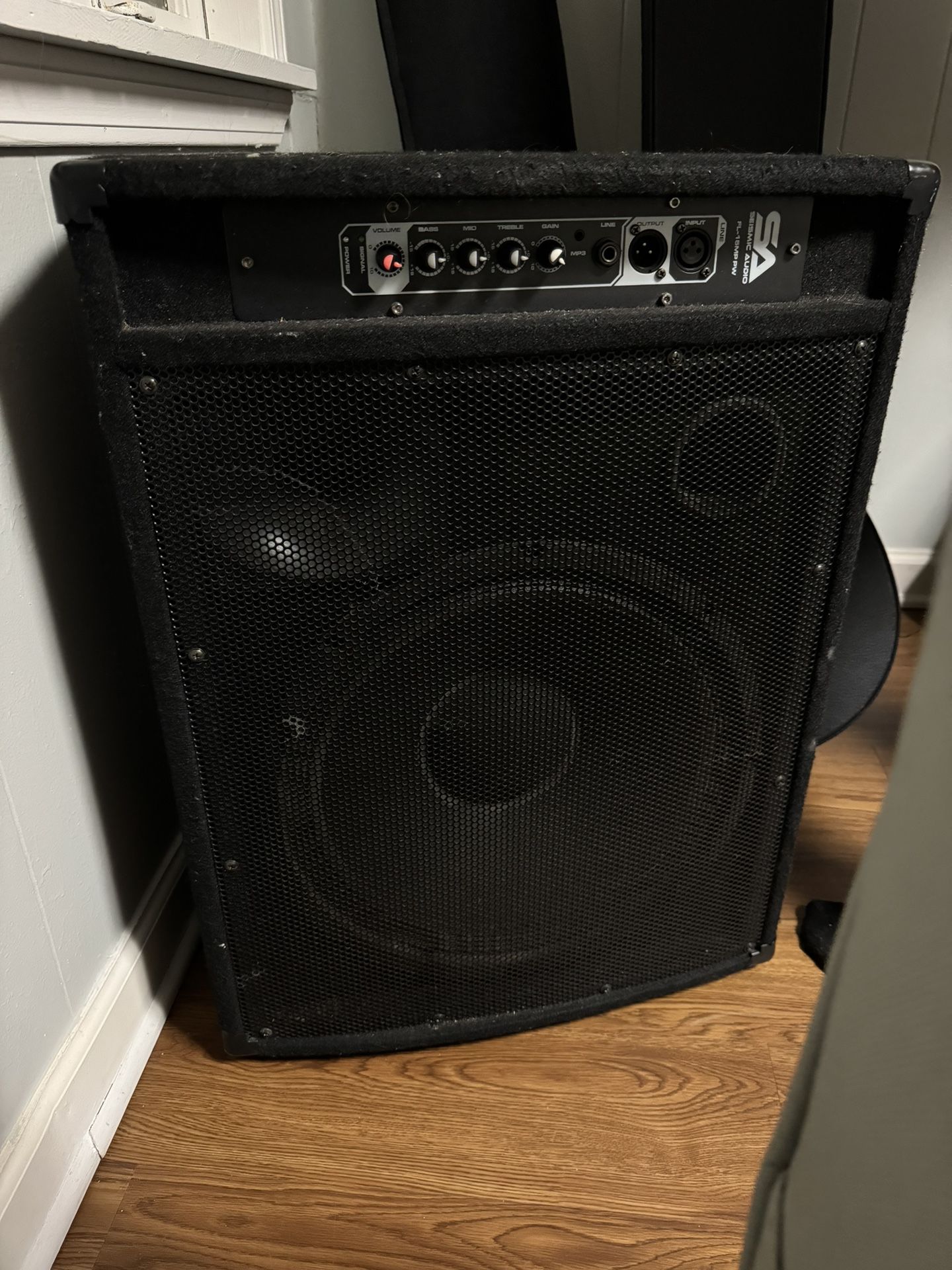 PA Floor Monitor with Titanium Horn