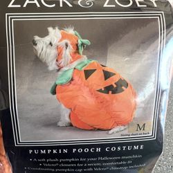 Halloween Pumpkin Dog Costume 