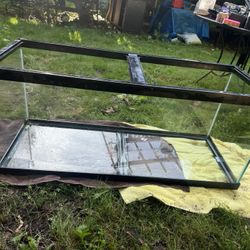75 Gallon Fish Tank