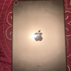 iPad 