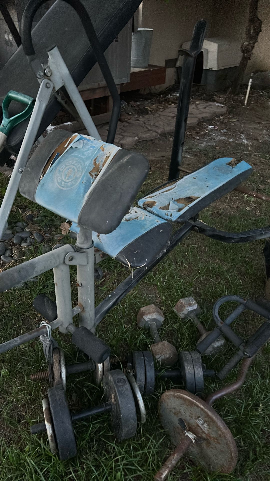 Exercise Equipment