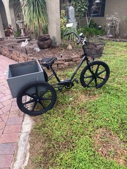 Black Adult Tricycle with Cargo Box and Basket