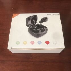 Earbuds (Headphones)- $25
