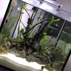 Fluval Accessories With Tank
