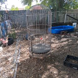 Parrot Cage