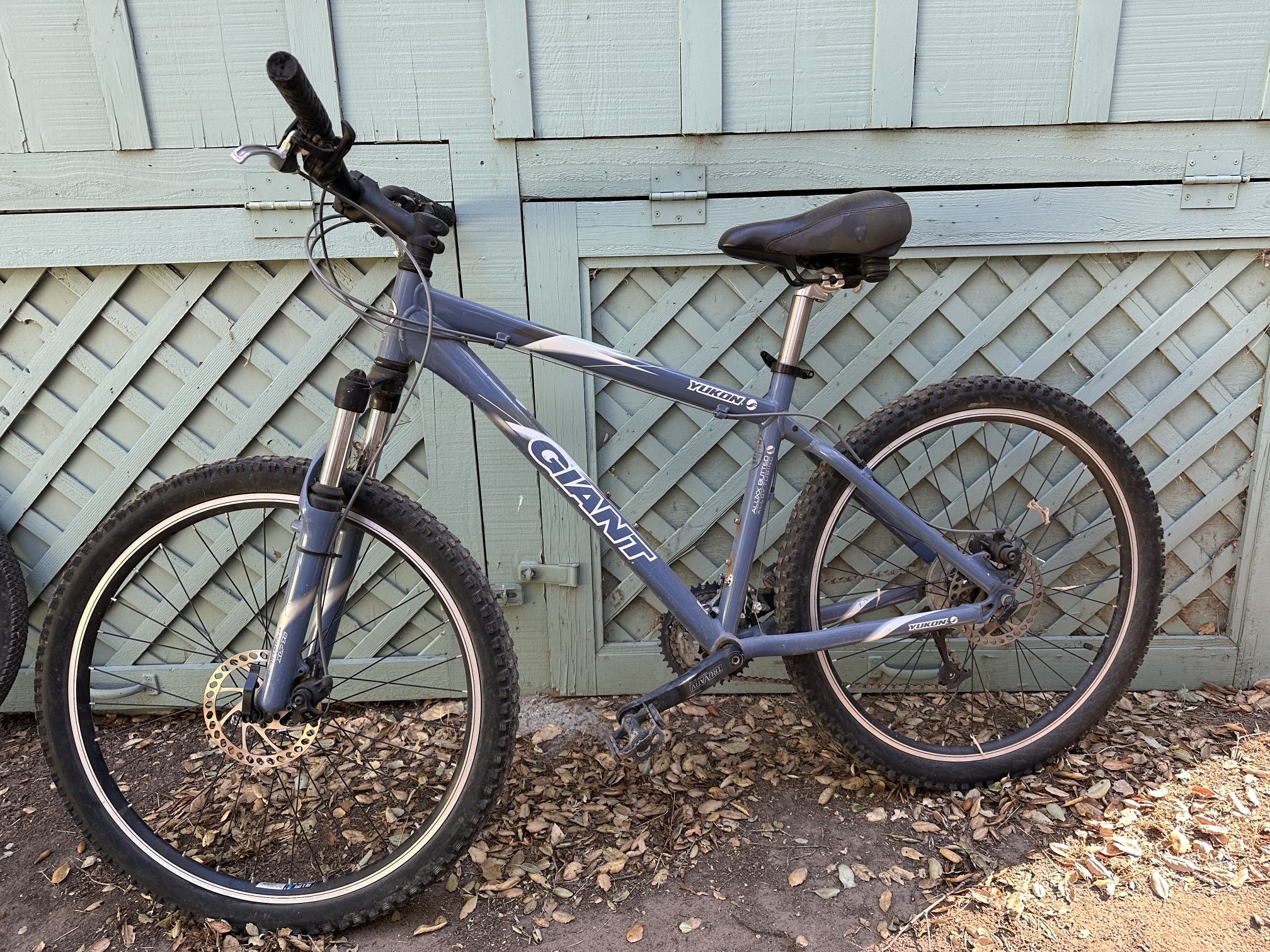 Women’s Giant 17” Mountain bike