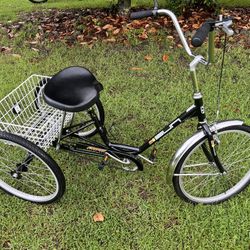 Sun  Miami  Trike 