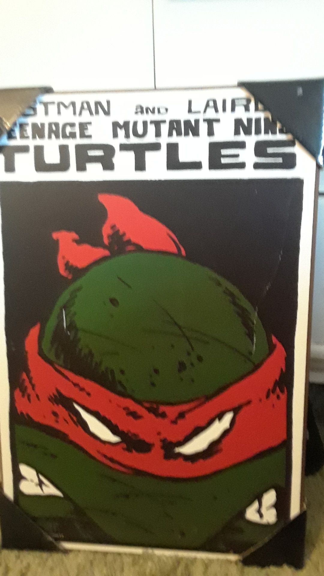 Ninja Turtle picture