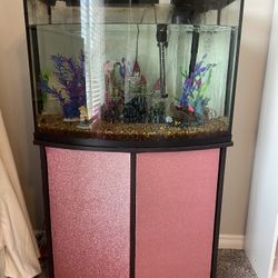 Fish Tank With Brand New Pump