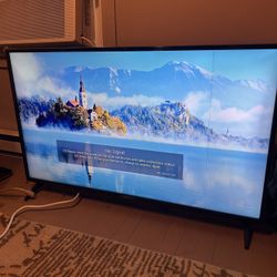 55” LG Smart Television 