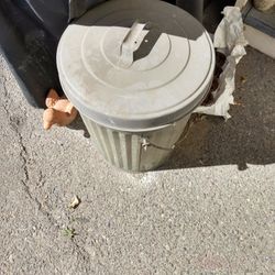 20 Gallon Galvanized Can