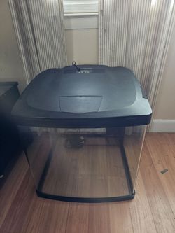 BioCube terrarium