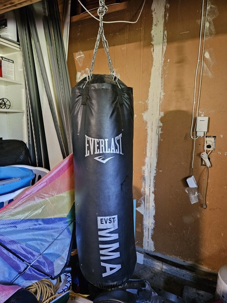 Punching Bag