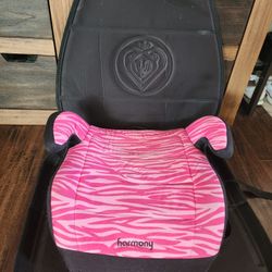 Baby Car Seat Protector With Free Booster Seat