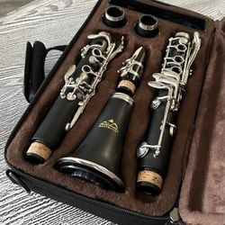 Eastrock clarinet with carry case in excellent condition. $85