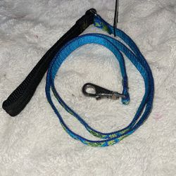 Lupine Lifetime Guaranty Dog Leash or Collar -1"- 