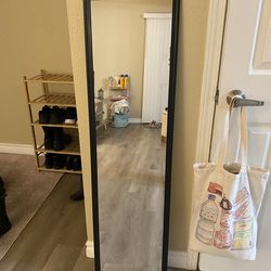 Door Mirror