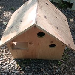 Bird House 