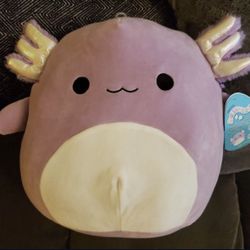 Squishmallow