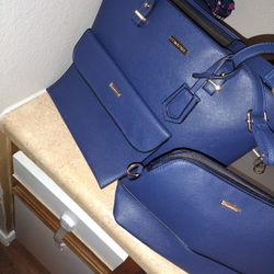 Blue Purse