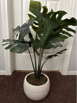 Fake plant