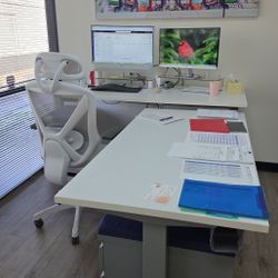 Stand Up Desks For Sale. 60 wide and 30 Deep